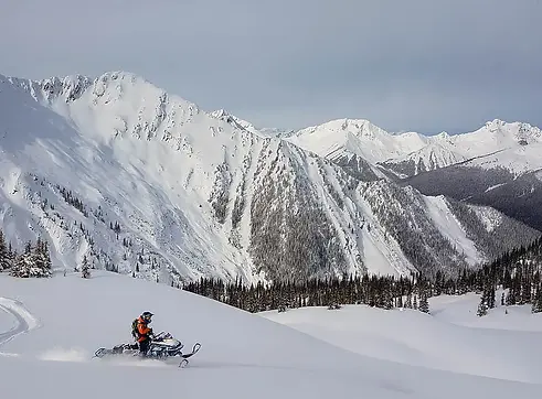 Allan-Creek-Valemount-3.webp