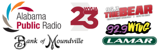 Big Fish Email Sponsor Banners (1).png
