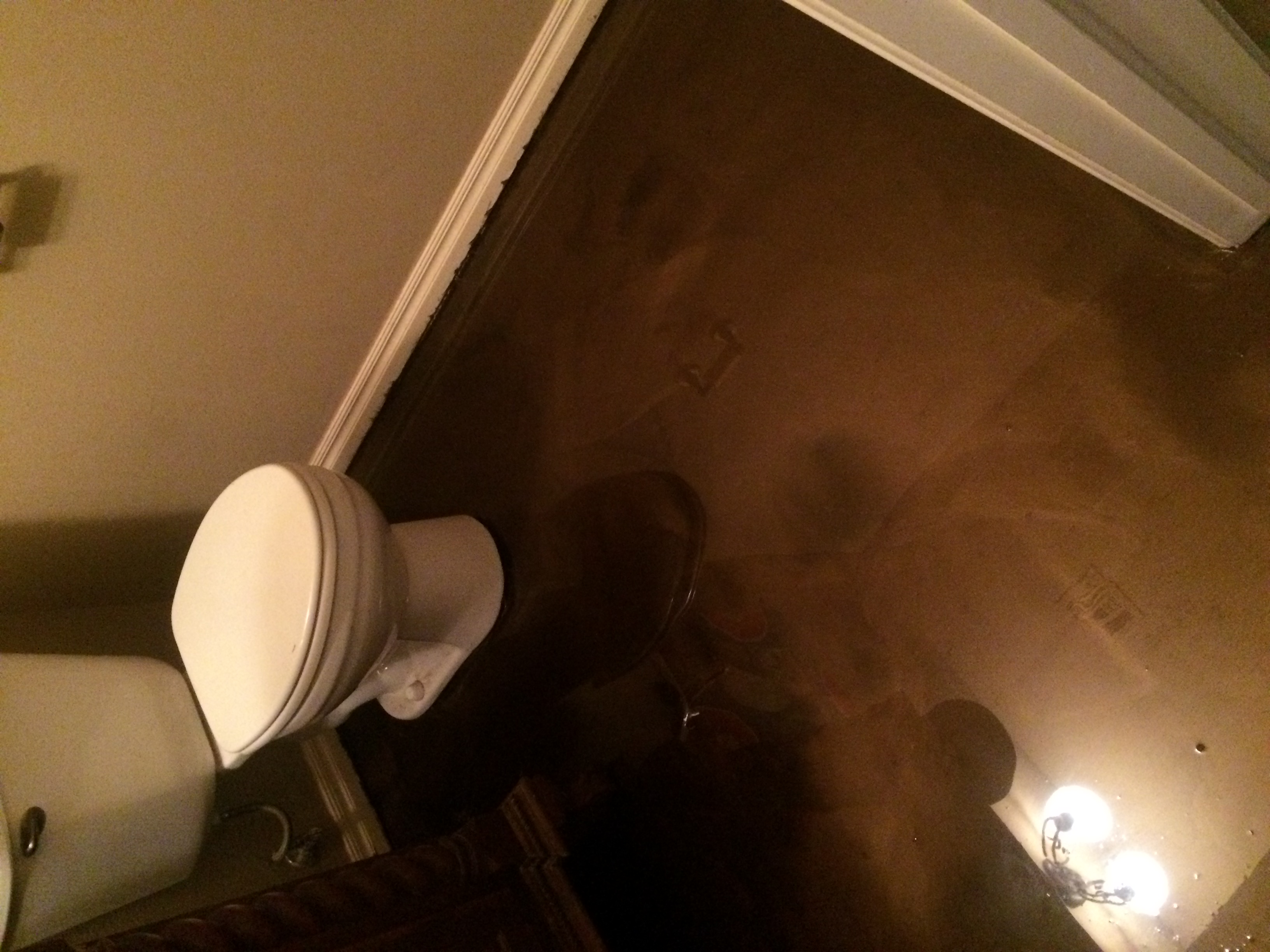 Epoxy Bathroom Floor