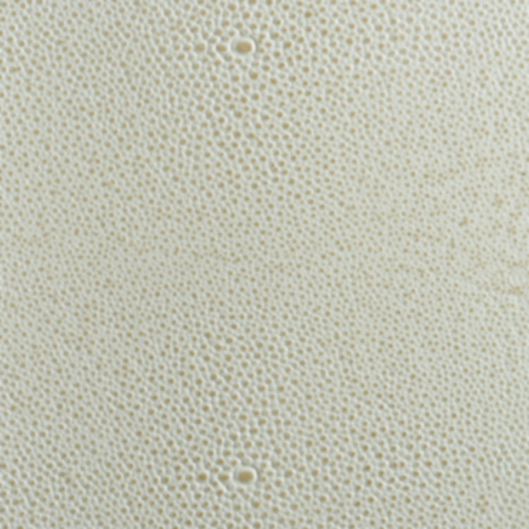 White Shagreen