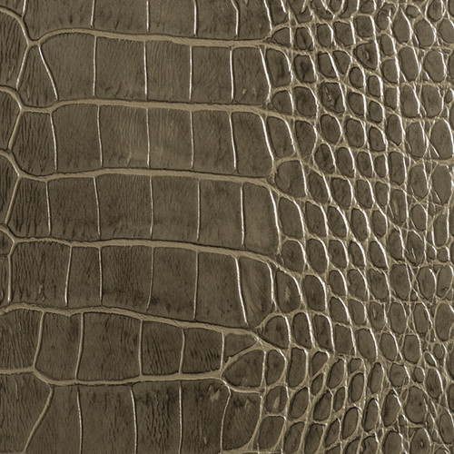 Antique Grey Crocodile