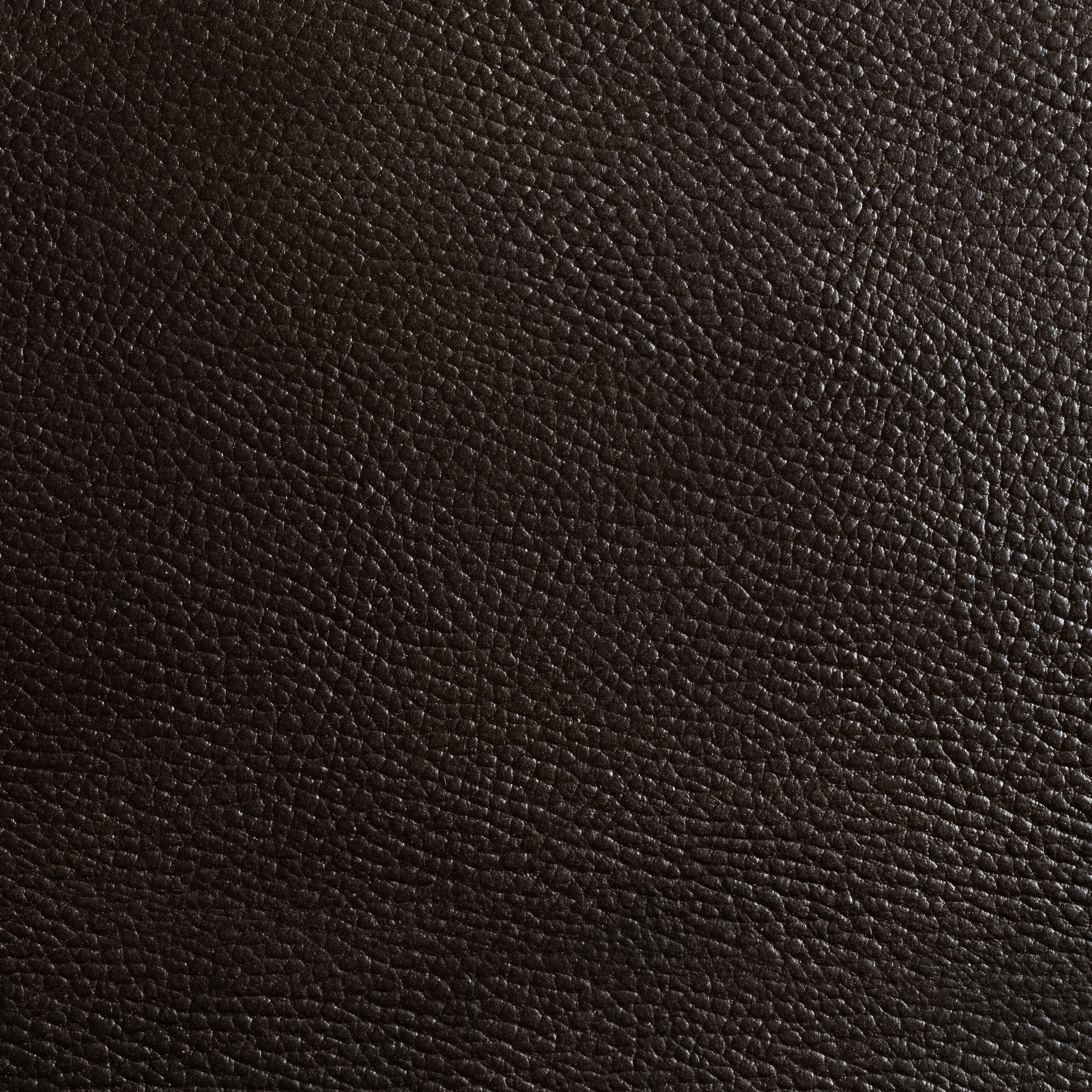 Antique Black Walrus