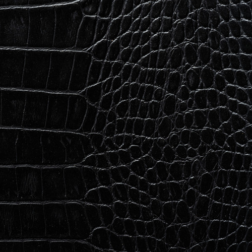 Coal Crocodile | EcoDomo