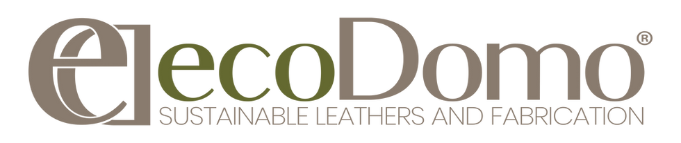 EcoDomo_logo_color_sasa.png