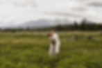 Polebridge Montana Elopement