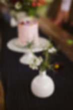 Polebridge Montana Elopement