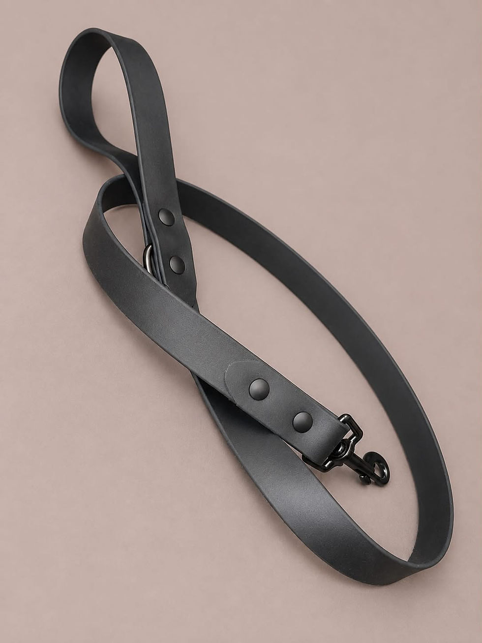 Thumbnail: Biothane Leashes