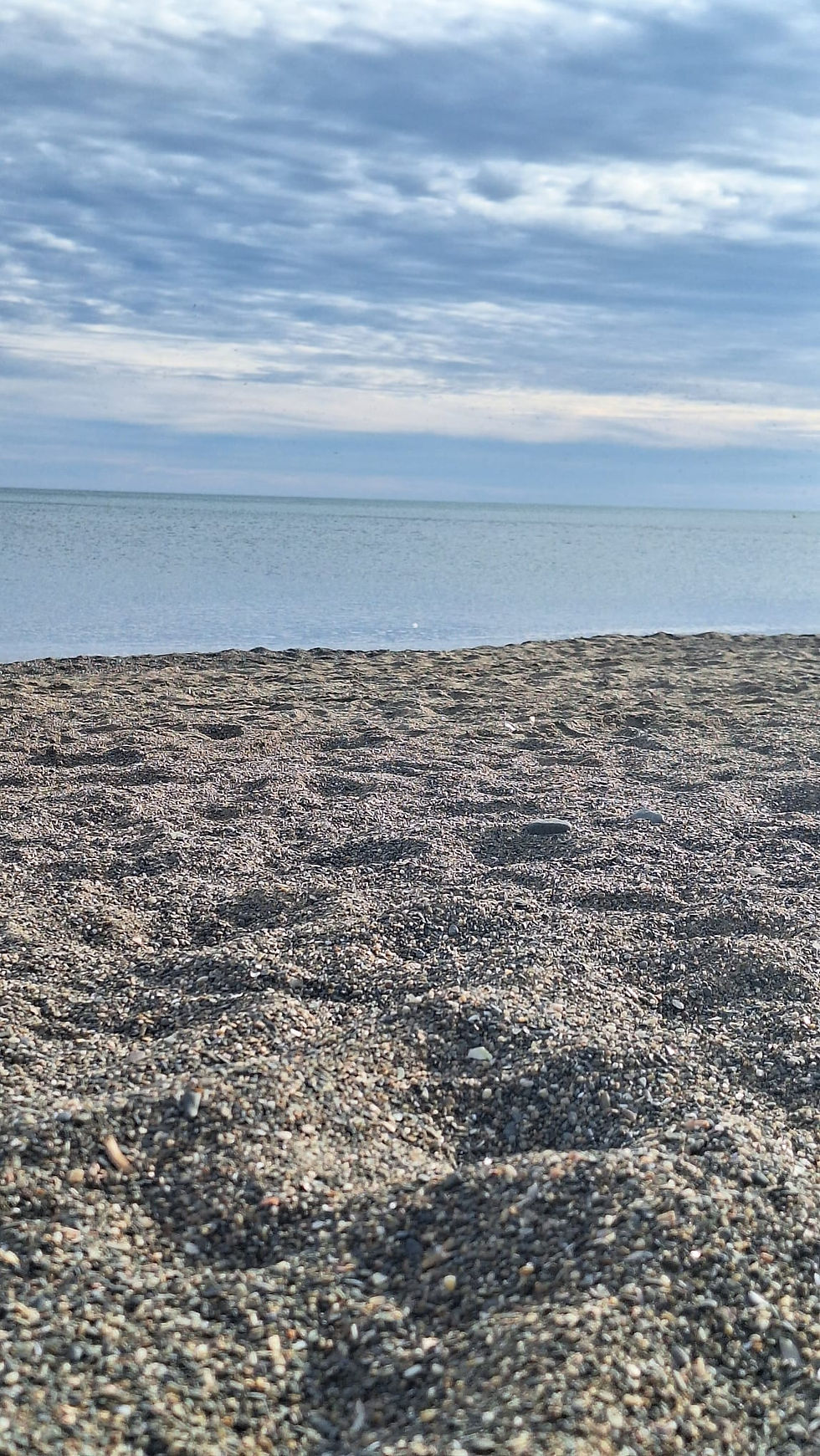 Recovery by the Sea