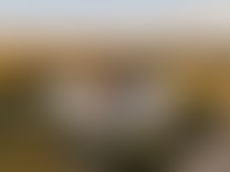Vista aérea de uma habitação no Alentejo após obras de reabilitação