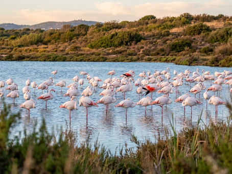 Área com restrições de utilidade pública