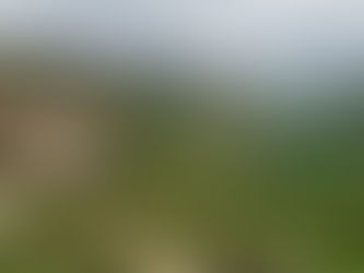 Vista aérea de um espaço de proteção e sustentabilidade ecológica em Portugal