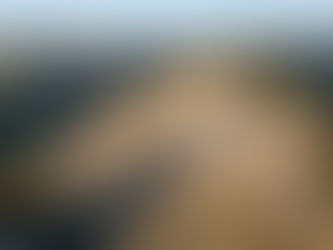 Intervenção ambiental