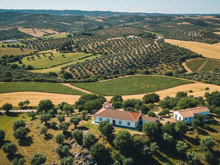 Vista aérea de um terreno rústico em Viana do Alentejo