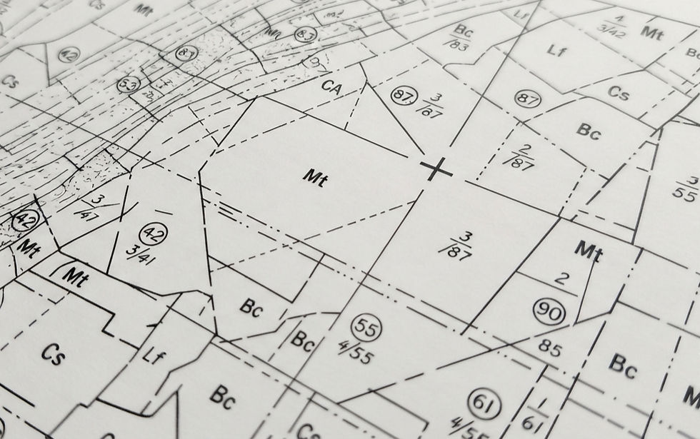 Carta Cadastral