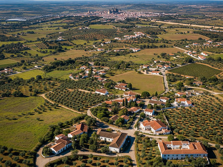     Vista aérea de um terreno misto em Évora