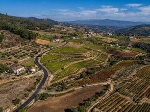Vista aérea de terrenos agrícolas em Portugal