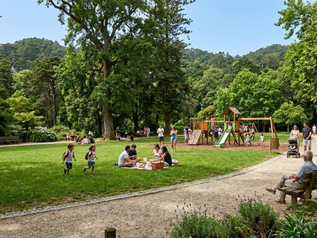 Espaço de verde misto em Portugal