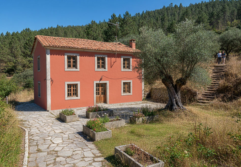 Habitação clandestina após a regularização camarária e obras de reabilitação