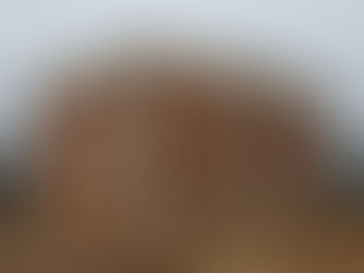 Habitação unifamiliar em construção