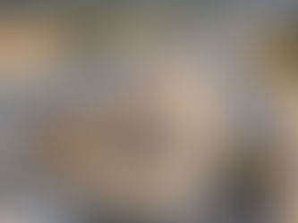 Expropriação de uma habitação para a construção de uma estrada