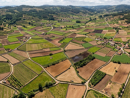 Vista aérea de terrenos de diferentes proprietários em Portugal
