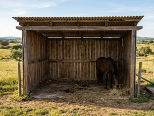 Abrigo em espaço rural num lote privado