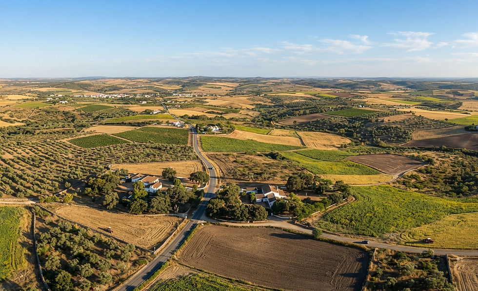Vista aérea de terrenos agrícolas no Alentejo
