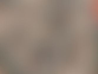 Planta de loteamento e toponímia