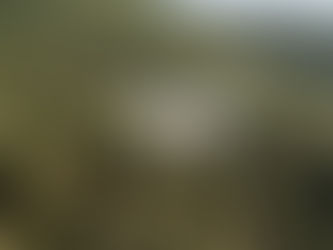 Drone a realizar o estudo para a elaboração do levantamento aerofotogramétrico