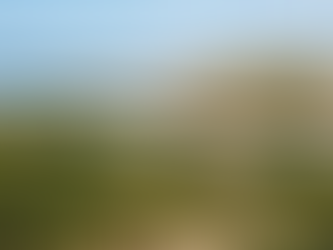 Zona terrestre de protecção na orla costeira