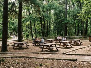 Zona de merendas em parque nacional