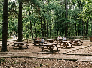 Zona de merendas em parque nacional