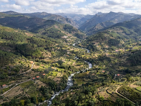 Vista aérea de uma "Reserva Ecológica Nacional"