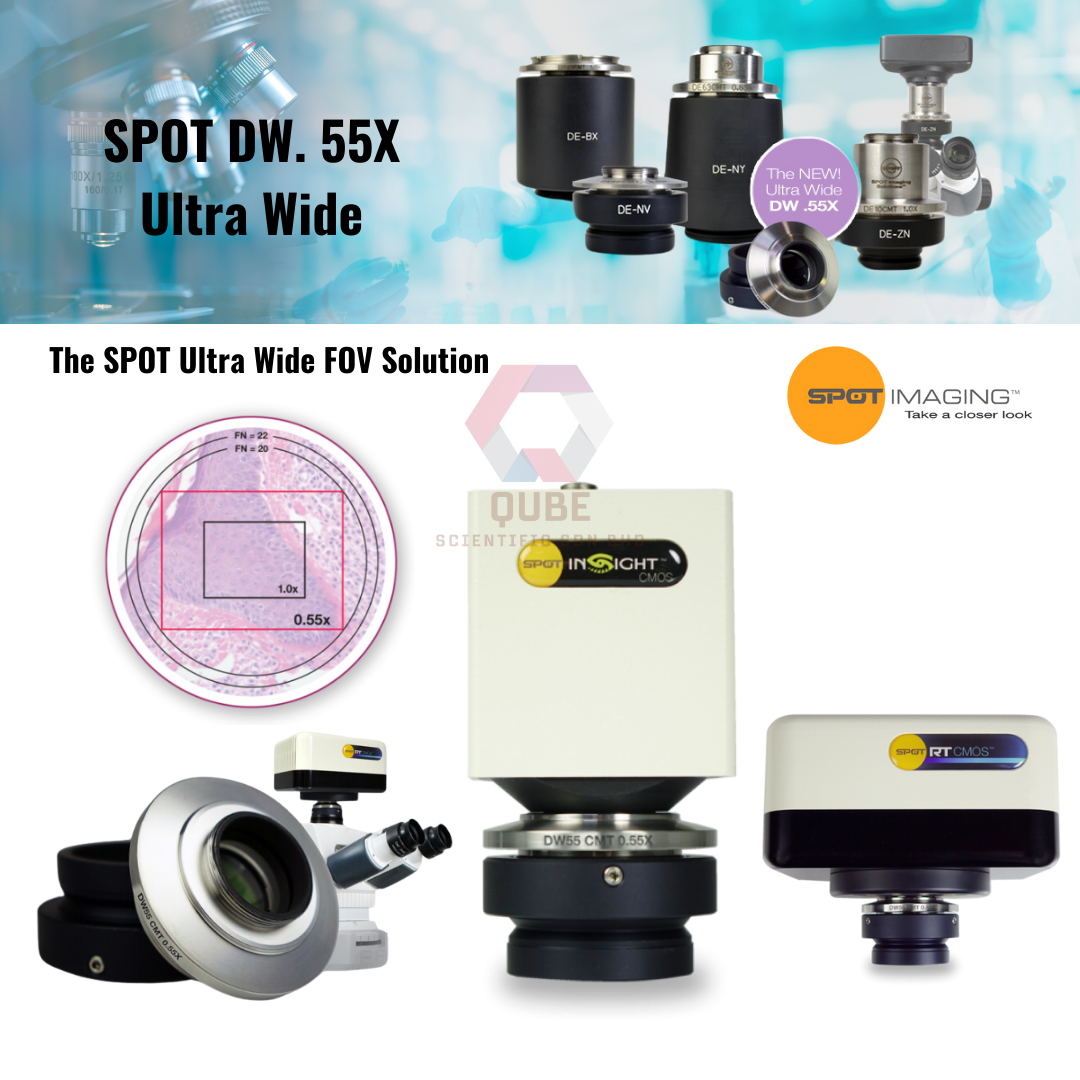 SPOT DW. 55X Ultra Wide