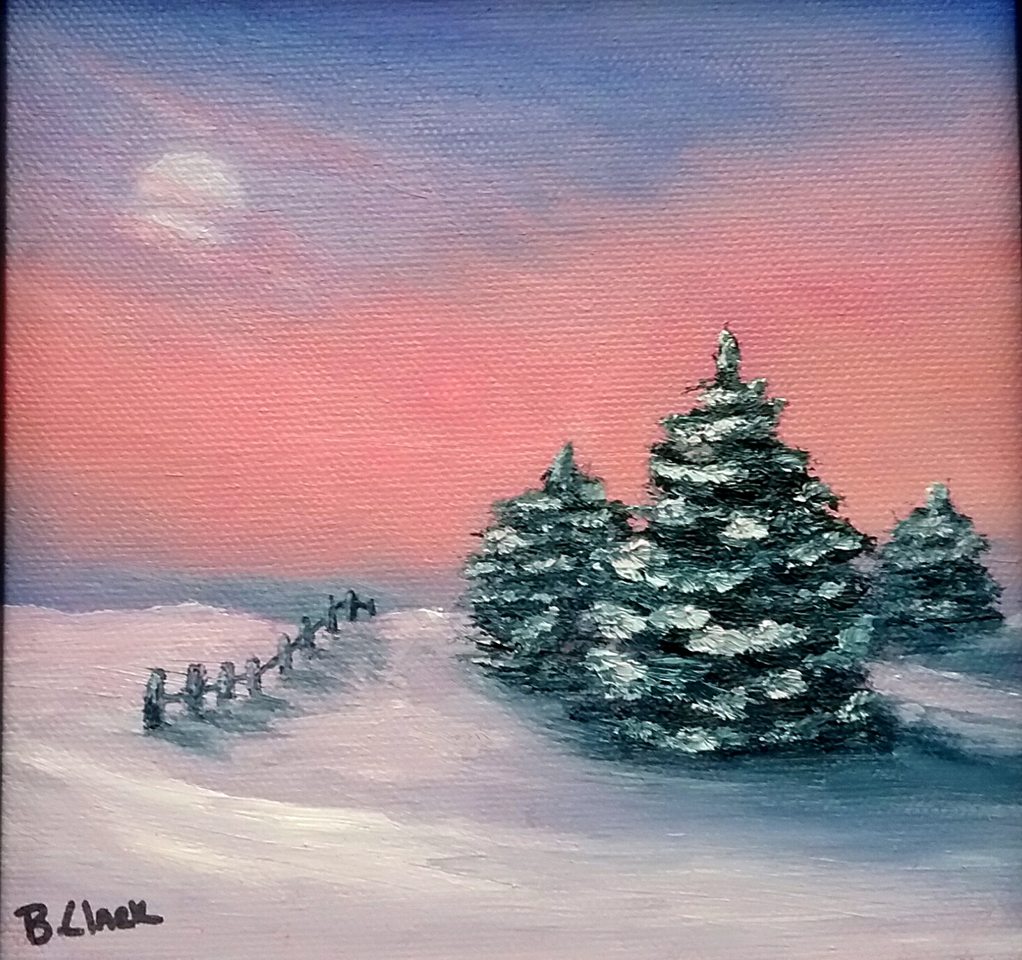 Winter Sky