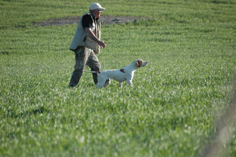 Dressage7.JPG