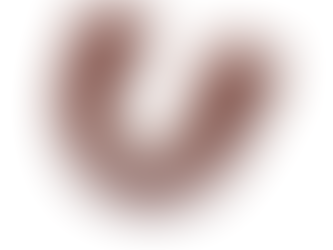 Shield Double Density Mouthguard Review