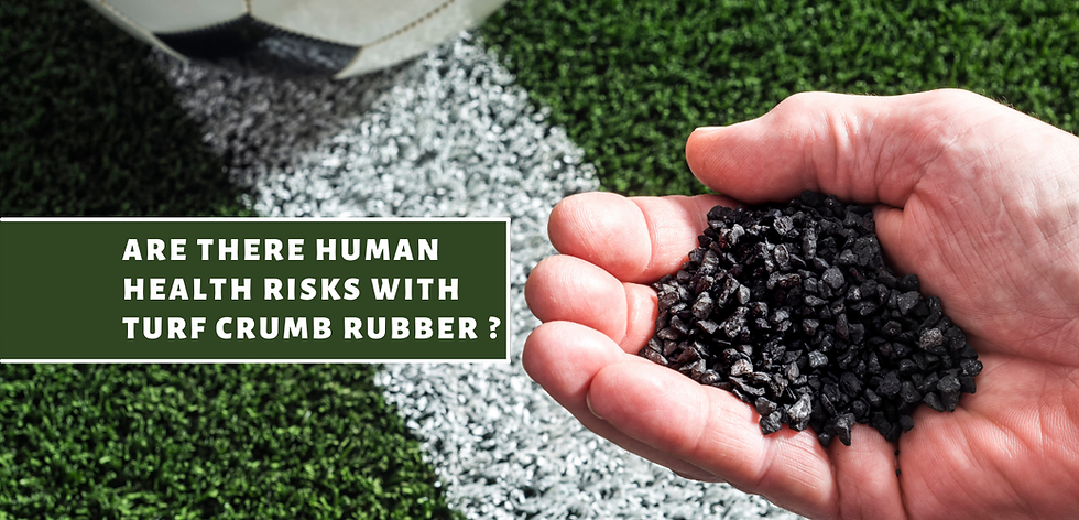 Are There Human Health Risks With Turf Crumb Rubber?