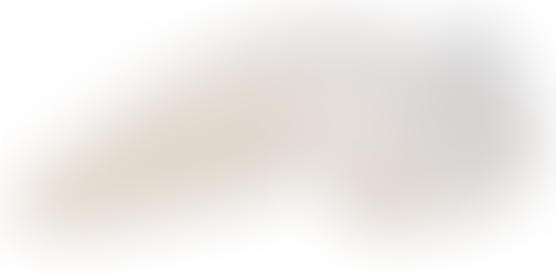 SWS Teeth Armor Review