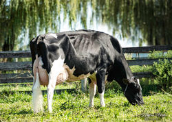 308099853_6211082702249825_8177814373098796858_n