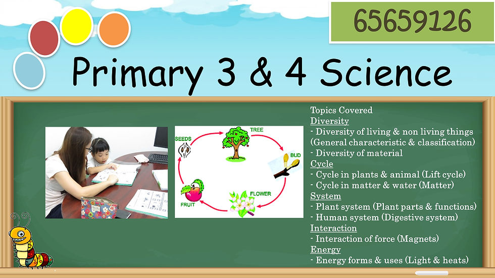 Primary 3 & 4 Scince