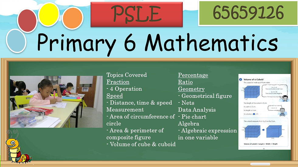 Primary 6 Mathematics