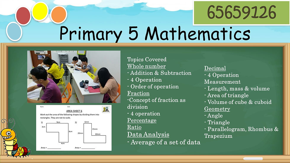 Primary 5 Mathematics