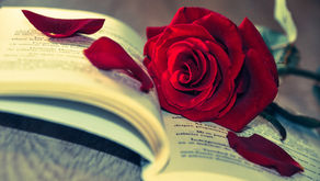 De la romance à toutes les sauces