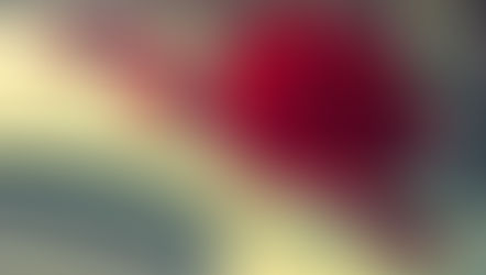 De la romance à toutes les sauces