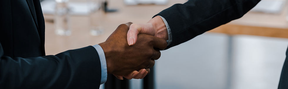 SHAKEHAND SECUR.jpeg