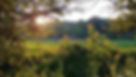 0828181941a_HDR.jpg
