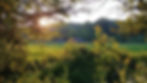 0828181941a_HDR.jpg