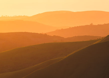 Multiple layers of hill from the summit of Windy Hill at sunset. 