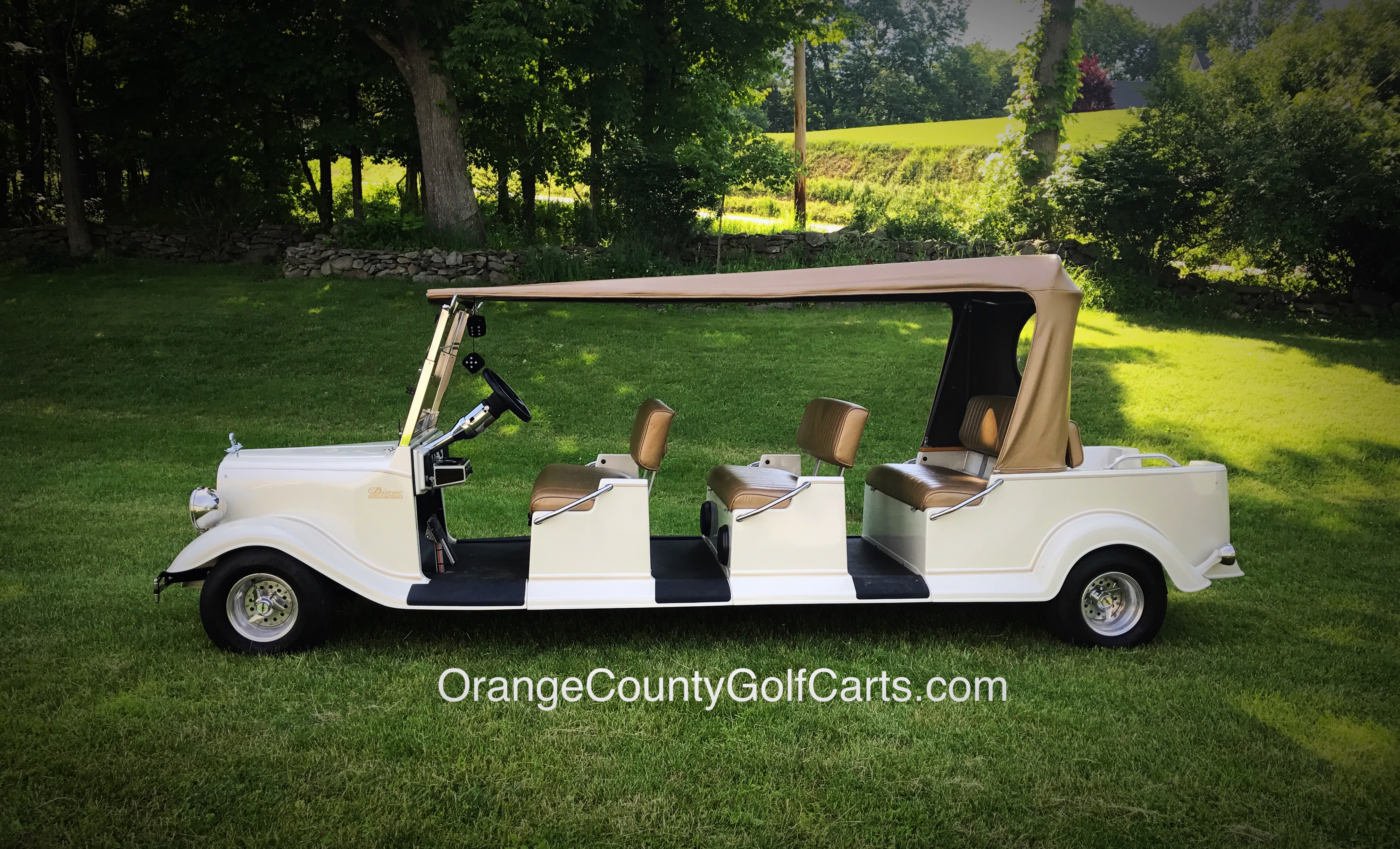 GOLF CART LIMO STREETROD DIANE SERIES
